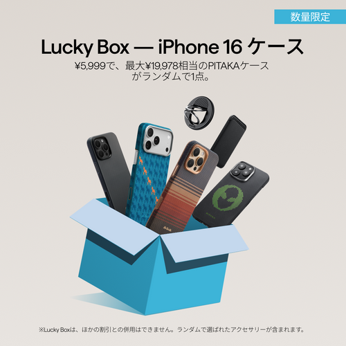 iPhone 16 Pro (6.3