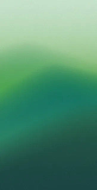 Spring Dawn ライフスタイル