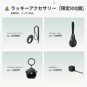 アクセサリー福袋（限定100個）