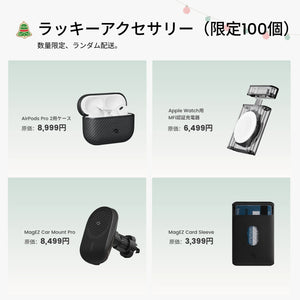 アクセサリー福袋（限定100個）