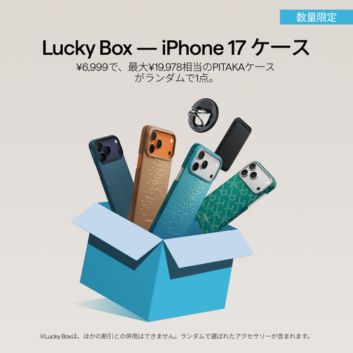 iPhone 17 Pro Max(6.9