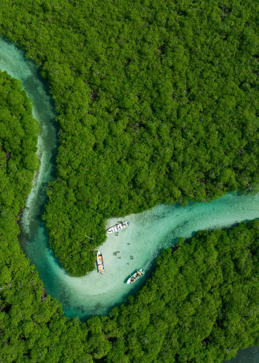 Earth Day 2026 | PITAKA