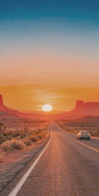California Dream-01 ライフスタイル