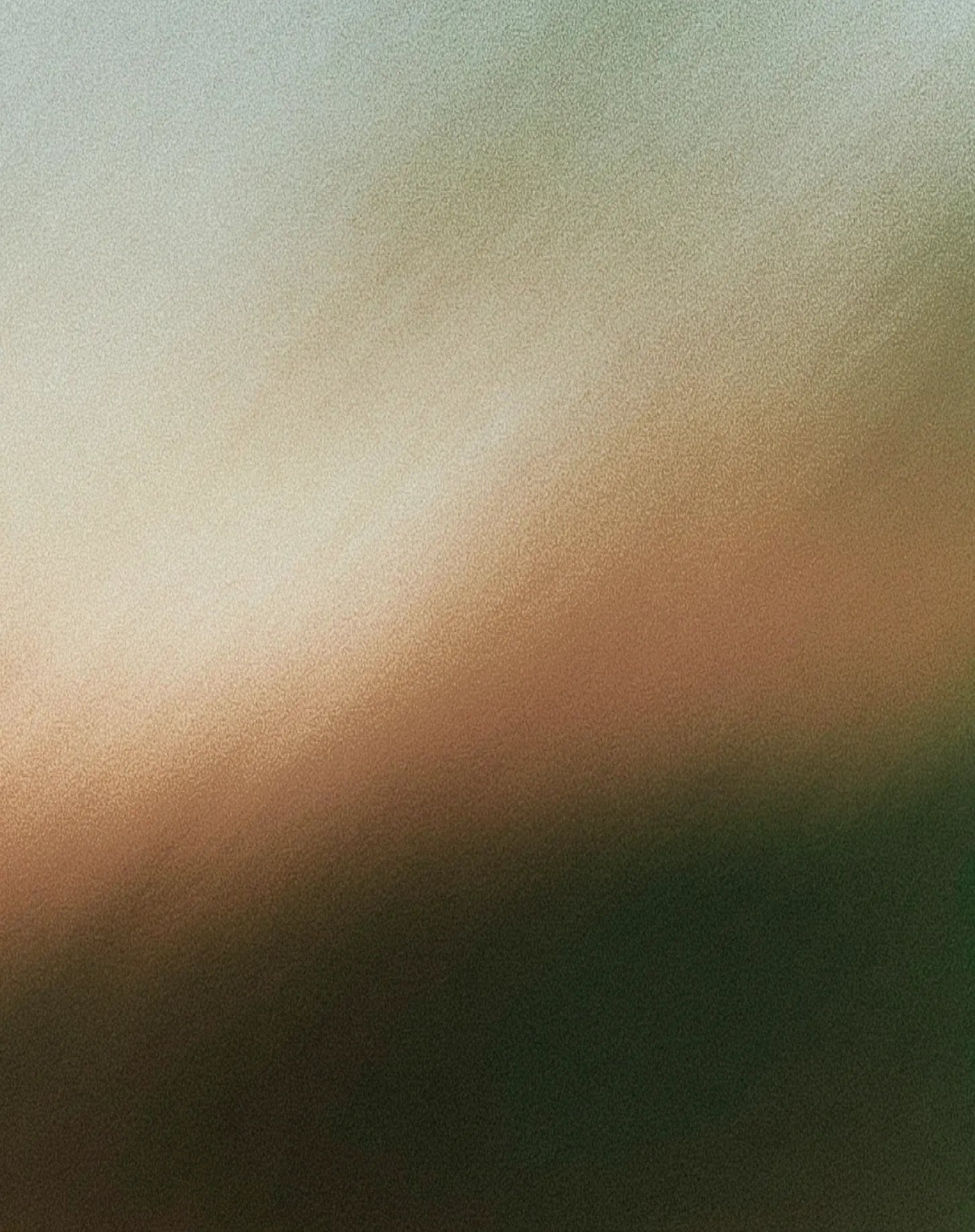 Wind Over Wheat (TRACE) ― Edge Case iPhone 18 - 1