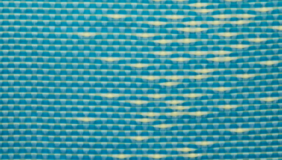 section3-img-2025-sum-1